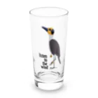 nachau7のハゲチメドリ Long Sized Water Glass :front