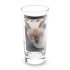 Makoto_Kawano Designの悪そうなのにカワイイ猫ちゃん Long Sized Water Glass :front