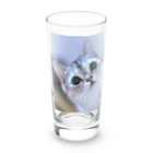 レオロンSHOPの猫の名前はレオ Long Sized Water Glass :front