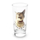 きゅきゅ堂のあくび猫2 -きゅきゅ堂 - Long Sized Water Glass :front