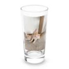 ANAROGUの可愛い猫 Long Sized Water Glass :front