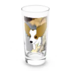 ハニーミルクのパピヨン Long Sized Water Glass :front