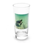 hinn-ketuの２、明日へ向かって泳ぐカメ Long Sized Water Glass :front