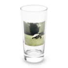 hinn-ketuの４、カメのお散歩 Long Sized Water Glass :front