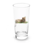 mayura_photoの若いオスライオン Long Sized Water Glass :front