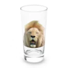 mayura_photoの眠そうなオスライオン Long Sized Water Glass :front