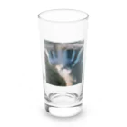 metametamonnのアルゼンチンのイグアスの滝 Long Sized Water Glass :front