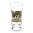 jackrussellvibes___のハードルをジャンプしているジャックラッセルテリア Long Sized Water Glass :front