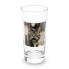 安達聖也の怒ってるネコ Long Sized Water Glass :front