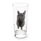 RIVERFIELDのシャルトリュー Long Sized Water Glass :front