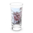 umejirouのさくら満開 Long Sized Water Glass :front