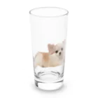 ライダーズの可愛い犬のアイテム Long Sized Water Glass :front