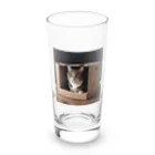jaguar3のダンボール猫 Long Sized Water Glass :front
