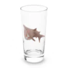 まろきめがぬのウバザメくん！ Long Sized Water Glass :front