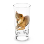 柴犬しばわんこhana873の伏せ？してる柴犬さん Long Sized Water Glass :front