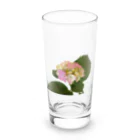 ひよこの水浴びのあの日の紫陽花 Long Sized Water Glass :front