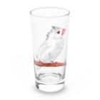 Lily bird（リリーバード）の水浴び文鳥 Long Sized Water Glass :front