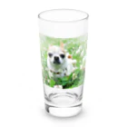 akane_art（茜音工房）のカラフルチワワ（クローバー） Long Sized Water Glass :front