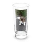 ながしっぽ from.さくらねこの家のながしっぼ　type.F Long Sized Water Glass :front