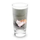 BLACK CATのウチの猫達 Long Sized Water Glass :front