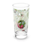 Lily bird（リリーバード）のピラカンサス（？）photo 正方形 Long Sized Water Glass :front