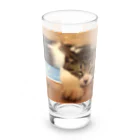 南の島のにゃんこの飛べるポーズで眠るパル～南の島のにゃんこ～ Long Sized Water Glass :front