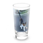 ながしっぽ from.さくらねこの家のながしっぽ　type.Ｊ Long Sized Water Glass :front