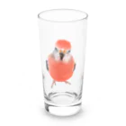 アキクサインコとウロコインコのアキクサインコ Long Sized Water Glass :front