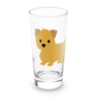 TOMOS-dogのnorfolkterrier（レッド） Long Sized Water Glass :front