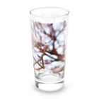 dandelionの紅梅 Long Sized Water Glass :right