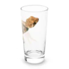 ちー坊のヘルメットゲッコー Long Sized Water Glass :right