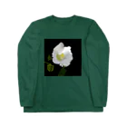 all olé の芙蓉(フヨウ) ロングスリーブTシャツ