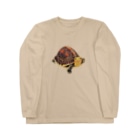 めろんぽっぷのお店だよのせまる！ セマルハコガメ Long Sleeve T-Shirt