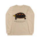 さちこの生物雑貨のヤエヤマセマルハコガメ ロングスリーブTシャツ