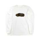 キジトラかもしれないのおねむ猫 Long Sleeve T-Shirt