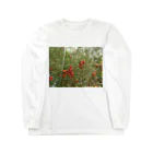 Masakiのミニトマト収穫前 Long Sleeve T-Shirt