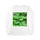 Mo.の🌿 Long Sleeve T-Shirt