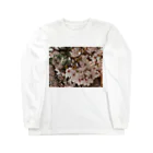 hiroki-naraの桜　サクラ　cherry blossom DATA_P_152　春　spring Long Sleeve T-Shirt