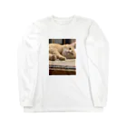 sanzokuのニャーニュー Long Sleeve T-Shirt