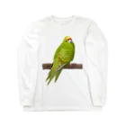 街のいろどりのキガシラアオハシインコ(前面プリント) ロングスリーブTシャツ