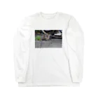 ﾛｯﾄﾓｰﾝﾄの起きた野良ニャンコ Long Sleeve T-Shirt