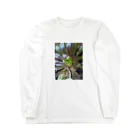 ミクロの多肉植物の黒法師 Long Sleeve T-Shirt