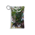 ミクロのユキノシタのお花が可愛らしい〜 Mini Clear Multipurpose Case
