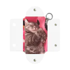 9catsのSuzu♡ Mini Clear Multipurpose Case