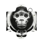 Eye2EyeのSpace Monkey #2 Mini Clear Multipurpose Case