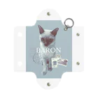 BARONのtravel antique Mini Clear Multipurpose Case