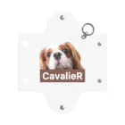 CavalieR【キャバリアール】のCavalieR キャバリア ミニクリアマルチケース