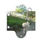 柴犬ラルフの柴犬ラルフ Mini Clear Multipurpose Case