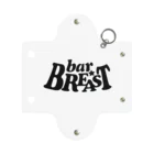 BREASTのBREAST Mini Clear Multipurpose Case