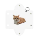 dszsdfdのこうばこねこねこ Mini Clear Multipurpose Case